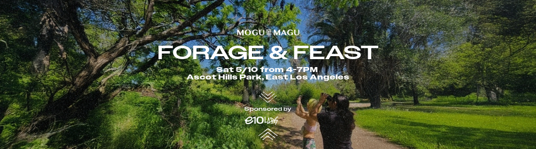 Forage & Feast