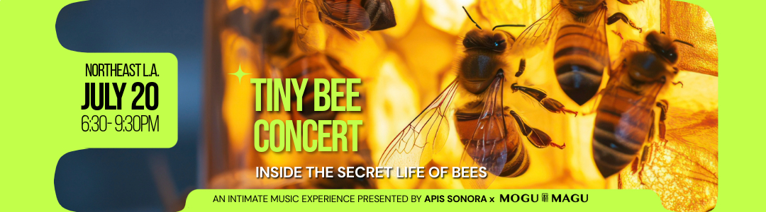 Tiny Bee Concert